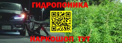 гашик Свободный