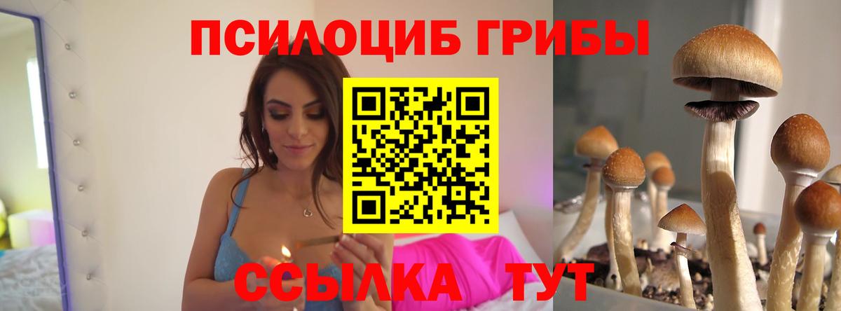 Галлюциногенные грибы прущие грибы Буйнакск