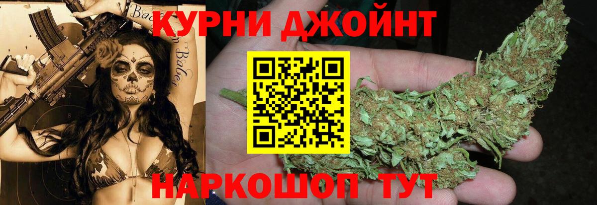 Шишки марихуана марихуана  Марихуана сатива  Вход с VPN  Буйнакск  Бошки Шишки планчик 